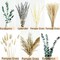Green Pampas Grass Boho Bouquet – Exquisite Lavender and Eucalyptus Dried Flower Arrangements for Western Boho Decor – Rustic Flowers for Your Bohemian Home, Bedroom, and Wedding Table Décor